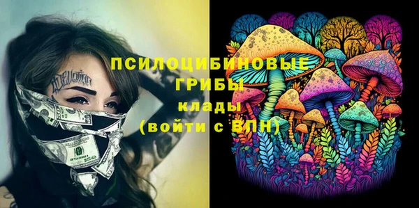 ешки Волоколамск