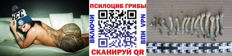 Псилоцибиновые грибы Psilocybine cubensis  Купить  Спасск-Рязанский 